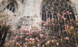 Com’è Milano dal tetto del Duomo