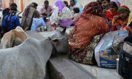 Che cosa significa viaggiare in India. “Lion – La strada verso casa”