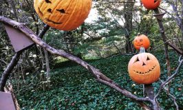 Autumn in New York: che cosa fare in città tra zucche, Halloween e foliage