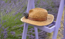 Lavanda in Piemonte, le fioriture più belle nel Monferrato (anche dei girasoli)