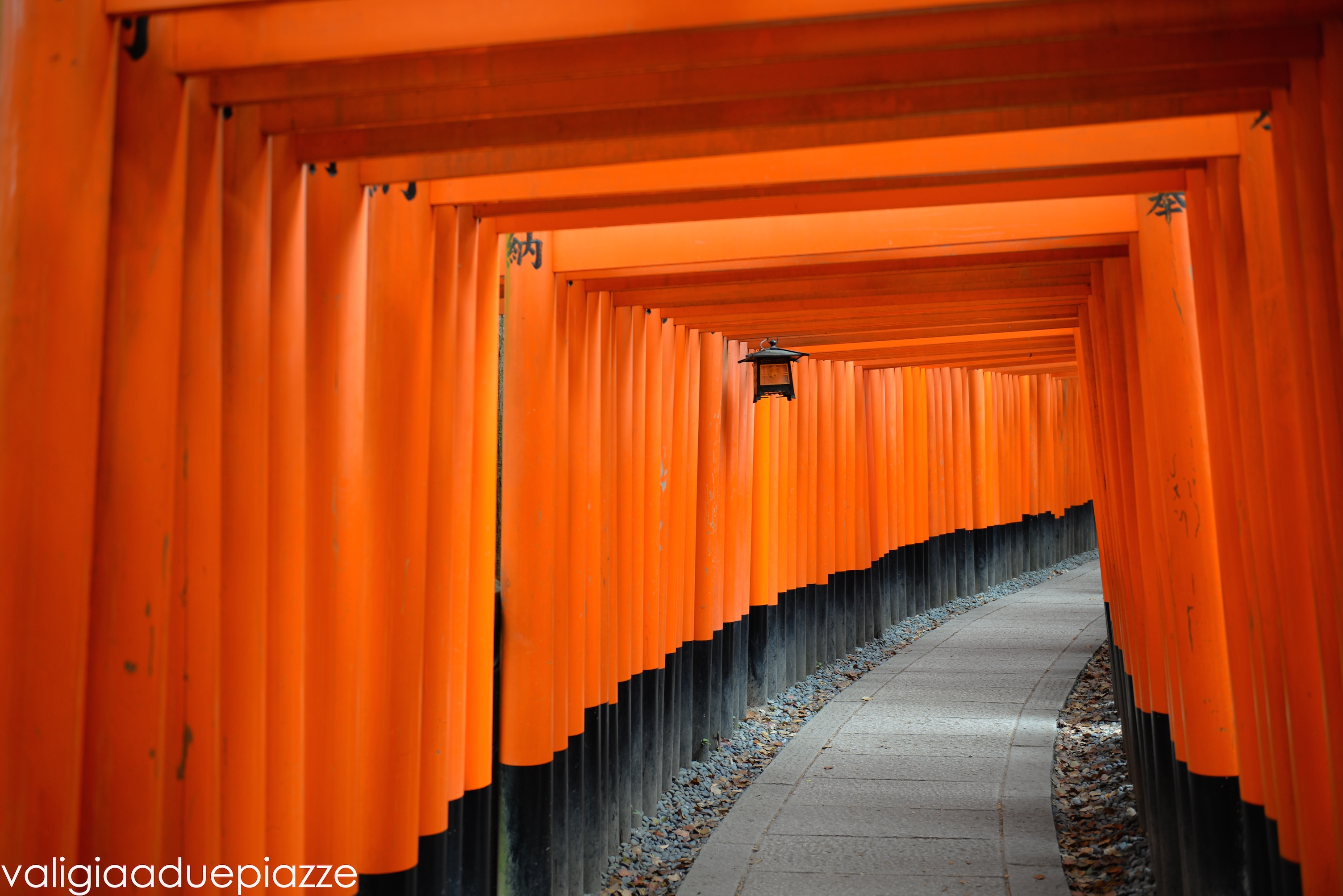 Come Organizzare Un Viaggio In Giappone Fai Da Te