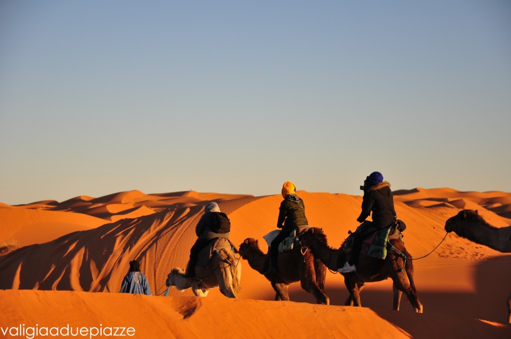 sahara camel tour