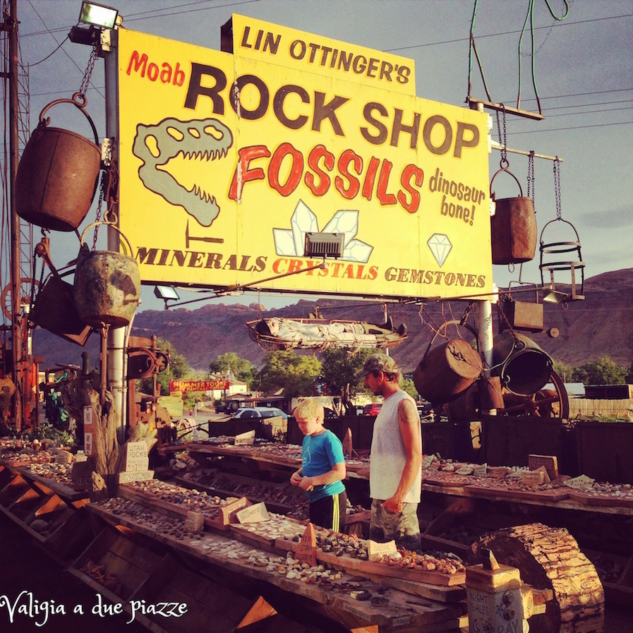 moab rock shop fossils