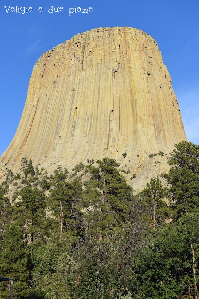 Devil's Tower National Monument