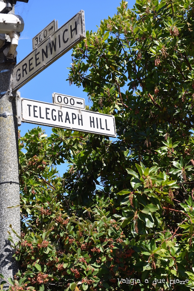 Telegraph Hill