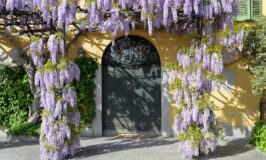 glicini cascina de' pomm